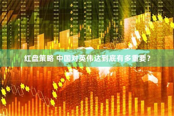 红盘策略 中国对英伟达到底有多重要？