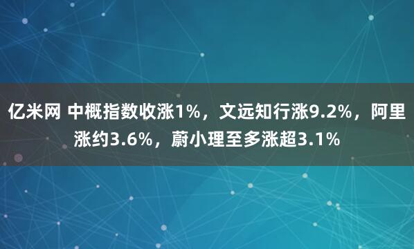 亿米网 中概指数收涨1%，文远知行涨9.2%，阿里涨约3.6%，蔚小理至多涨超3.1%